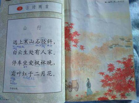 三年级诗：金_300字