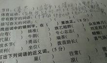 关于春天的作文：我和春天一起成长_350字