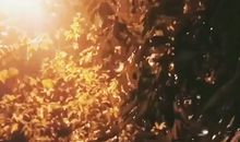 秋天的雨夜_700字