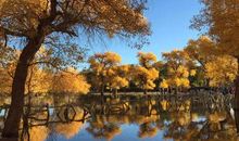 三年级诗歌：你是我心底最最温柔的一朵小花_50字