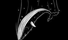 生命的世间_700字