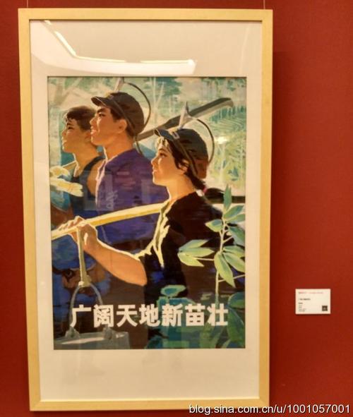 祖国喜欢ABA _750字