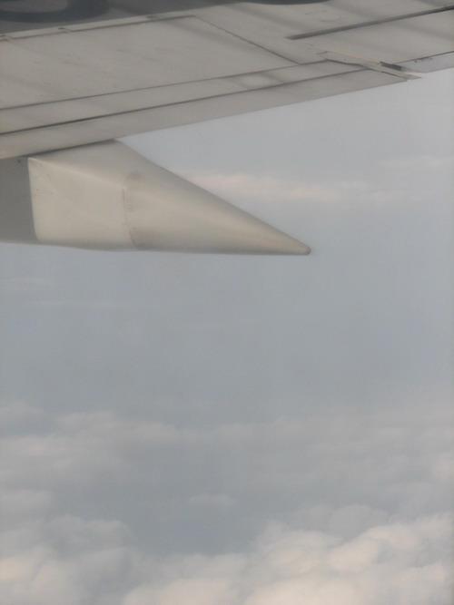 从“飞行梦”看中国 - 阅读“神舟航运旅游空间”_550字
