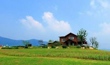 我喜欢的美景_450字