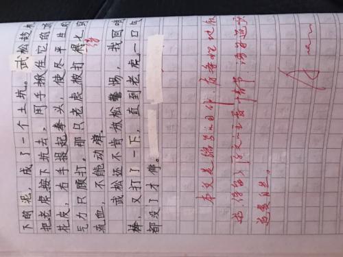 京阳刚灌木_200字