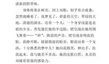 我是一条鱼_800字