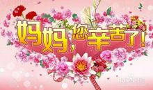 母亲节的礼物_450字