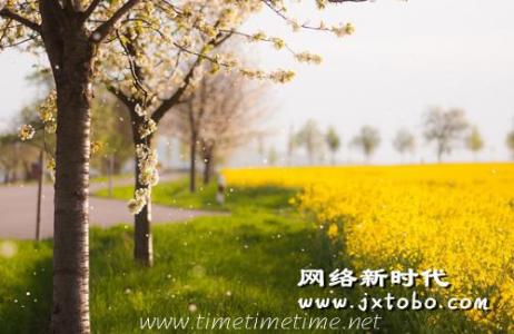 描述春天的美丽句子