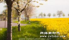 描写春天的优美句子