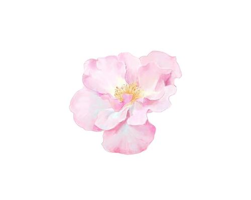 与Spring相关联的短语：