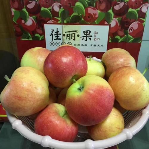 苹果，你明白吗？ _800字