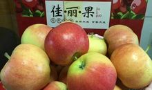 苹果，你了解它吗？_800字