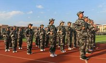 汗洒操场 笑看军训_650字