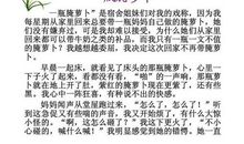 [PK赛]关于雪的作文：雪_650字