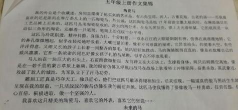 [PK旅游]雪地上的作品：雪中的雪_1500字