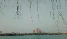 关于春天的作文：吹面不寒杨柳风_900字