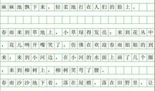 关于春天的作文：一夜春雨_200字
