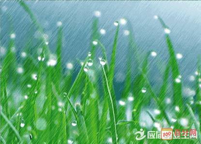关于春天成分：春雨，我想_1200字