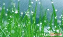 关于春天的作文：春雨随想_1200字
