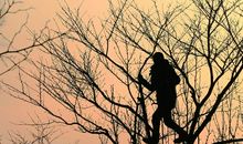 关于春天的作文：寄托希望，迎接春天_150字