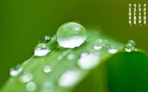 关于春季成分：第一个春雨_500字