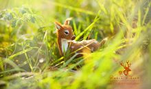 在森林里迷路了_800字