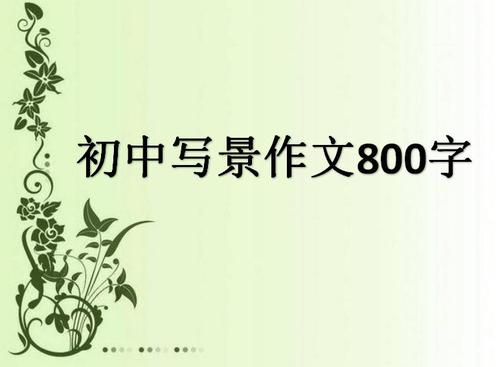 初级双人写景观：早上的雨_500字