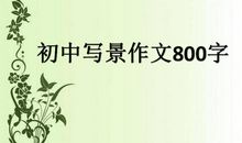 初二写景作文：清晨的雨_500字