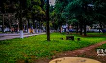 春天的校园作文：春天的校园_450字