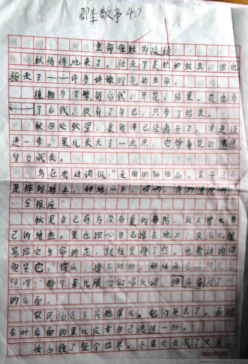 初级双字视图：冬天_400字