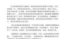 春天的校园作文：春天的校园_700字