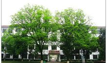 春天的校园_550字