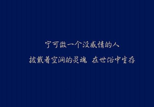 照片_350字