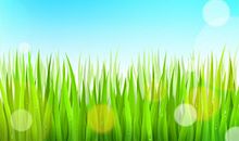 春天好像到了_2000字