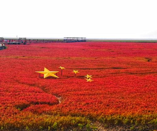 爱国演讲：点燃心脏的火焰吗？ _400字