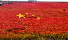 爱国演讲稿：点燃心中的火焰?_400字