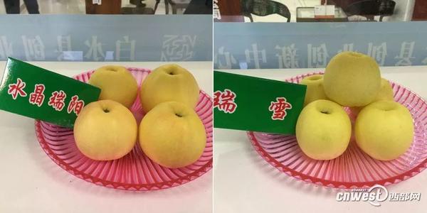 白水_900字