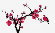 酝酿三季的梅花_700字