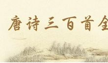 梅花精神_800字