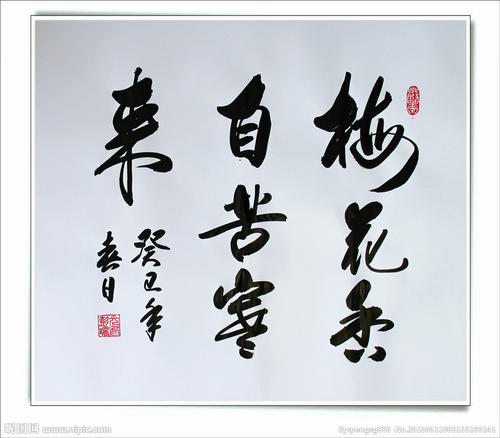 梅花来自痛苦的冷_700字