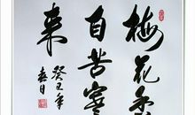 梅花香自苦寒来_700字