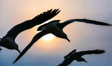 要翱翔,先展翅_750字