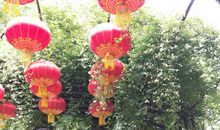 “醉美”梅园_900字