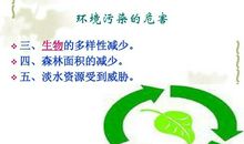 保护环境人人有责_600字