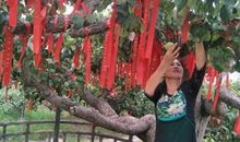 认识你真好_600字