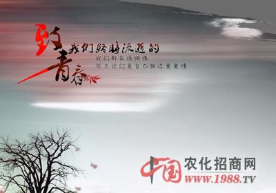 有时我会觉得，这只是两个人！