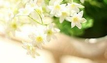 [六月征文]流年_550字