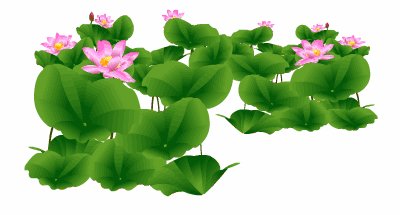 [六月文章]那些有你的夏天_800字