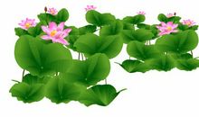 [六月征文]那些有你的夏天_800字