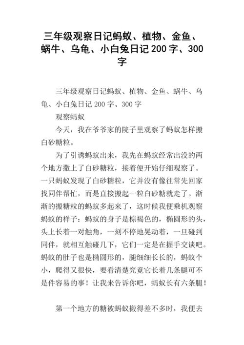 LESGERS的日记：捕捉蜗牛_300字
